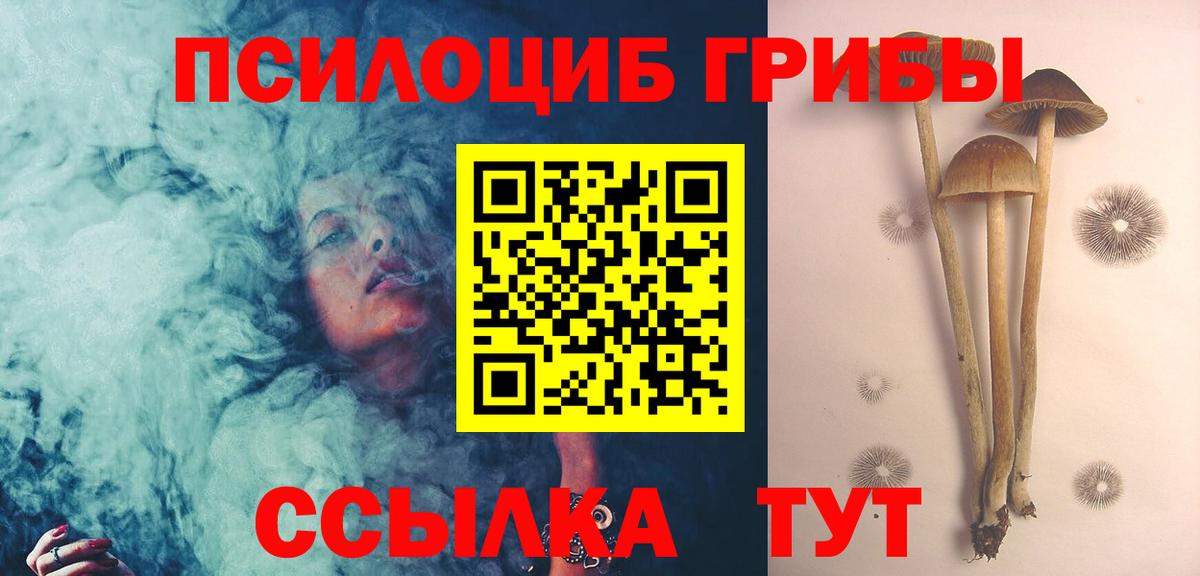 Нефтекумск  Галлюциногенные грибы ЛСД  Вход с VPN 